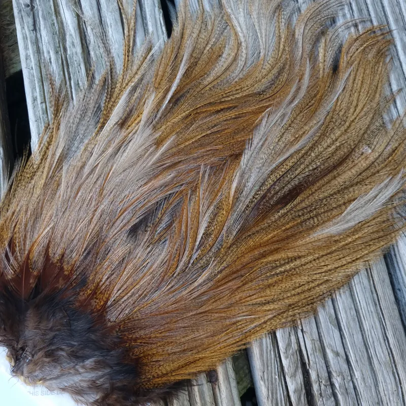 Whiting Coq de Leon Silver Grade Rooster Saddle in Ginger Pardo A-5