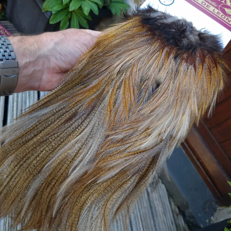 Whiting Coq de Leon Silver Grade Rooster Saddle in Ginger Pardo A-2