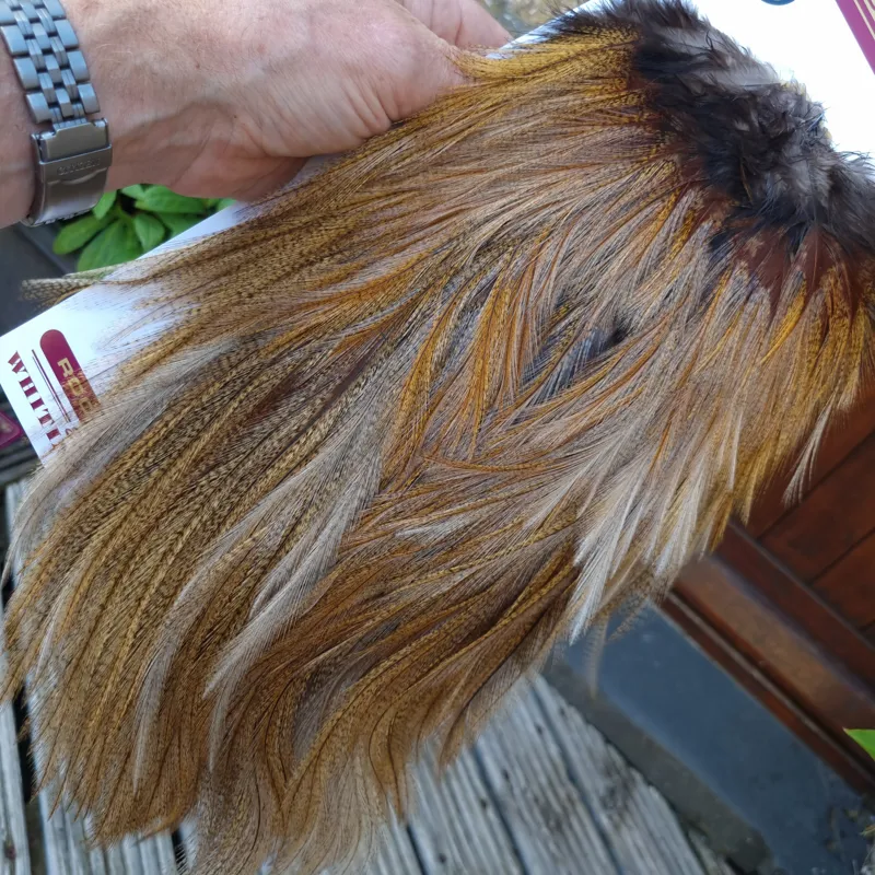 Whiting Coq de Leon Silver Grade Rooster Saddle in Ginger Pardo A