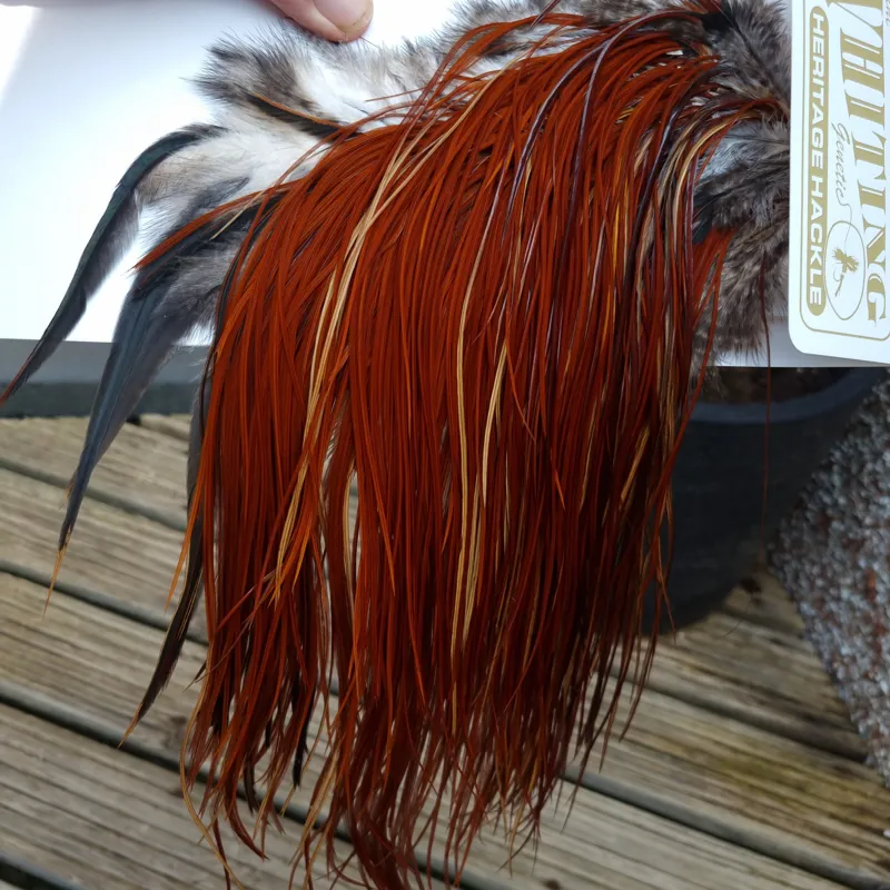 Whiting Heritage Hackles Rooster Saddle in Mixed Colours T Light/Medium/Dark Red Game Approx. Tying Size12/14/16