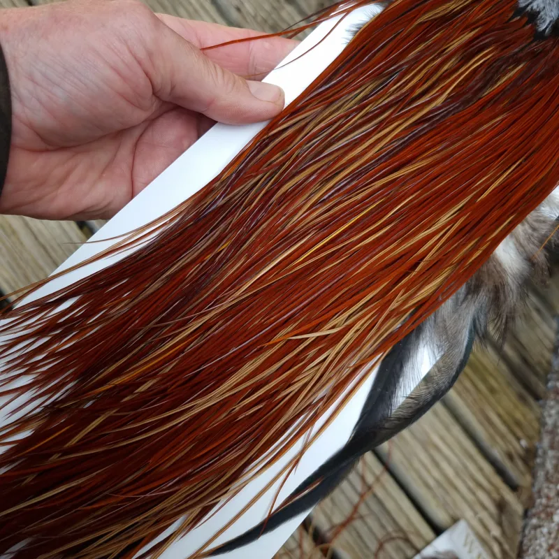Whiting Heritage Hackles Rooster Saddle in Mixed Colours T Light/Medium/Dark Red Game Approx. Tying Size12/14/16-2