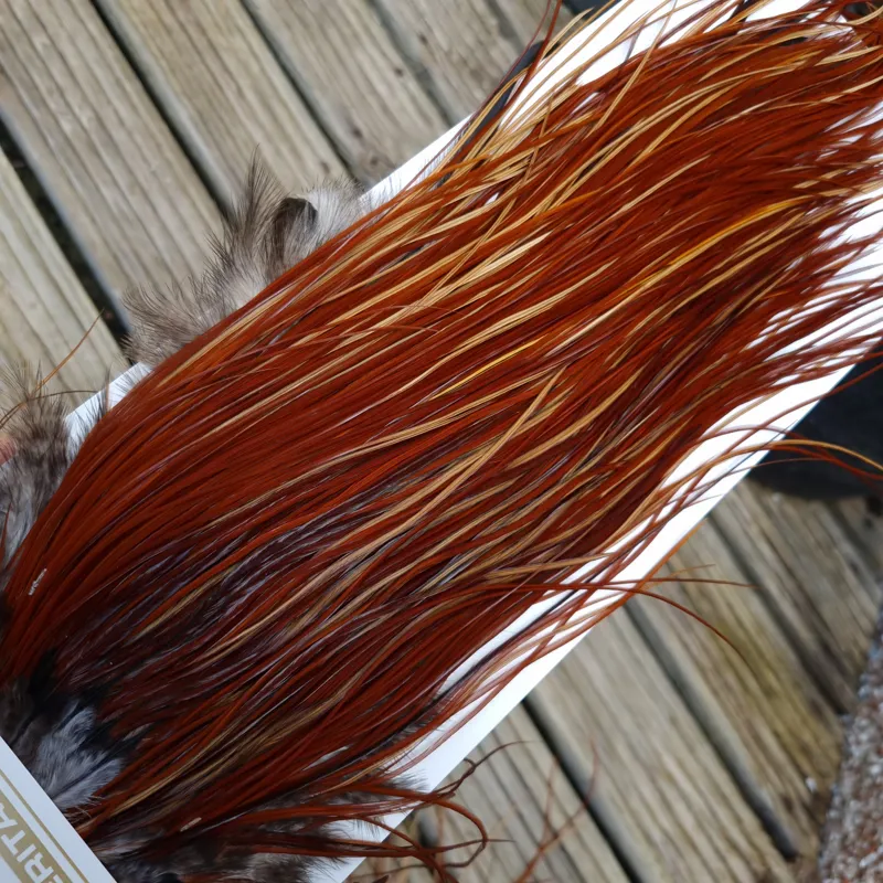 Whiting Heritage Hackles Rooster Saddle in Mixed Colours T Light/Medium/Dark Red Game Approx. Tying Size12/14/16-1