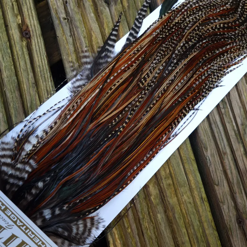 Whiting Heritage Hackles Rooster Saddle in Mixed Colours T Grizzly-Furnace-Greenwell's and Coch Y Bondhu Approx. Tying Size10/12/14. -8