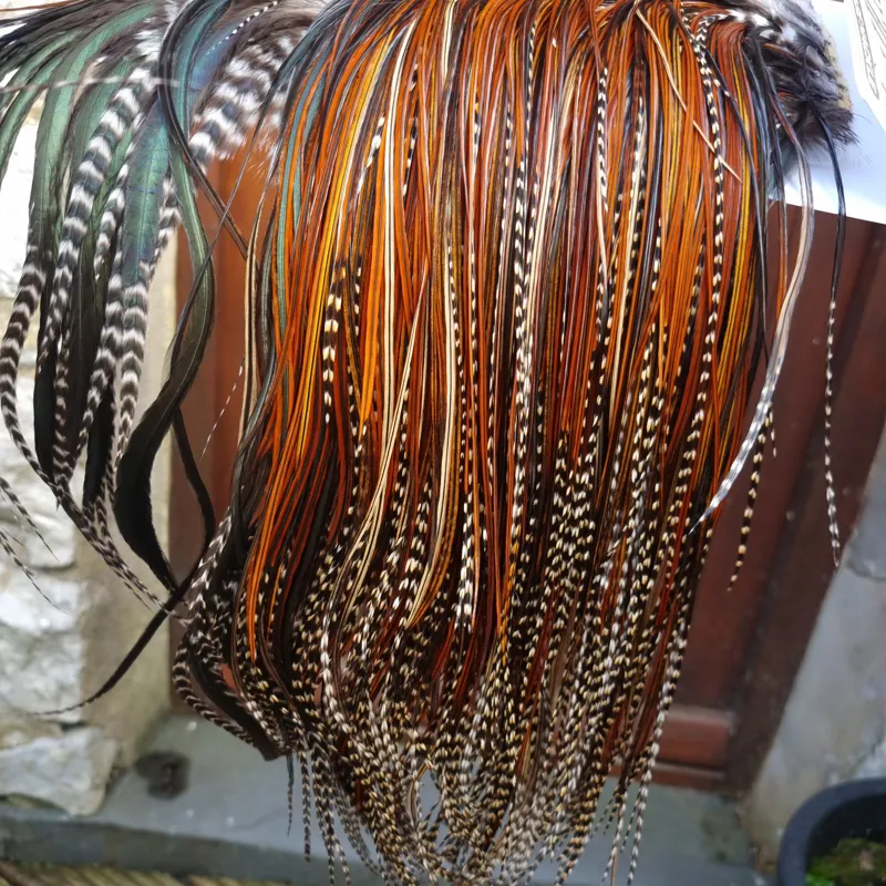 Whiting Heritage Hackles Rooster Saddle in Mixed Colours T Grizzly-Furnace-Greenwell's and Coch Y Bondhu Approx. Tying Size10/12/14. -6