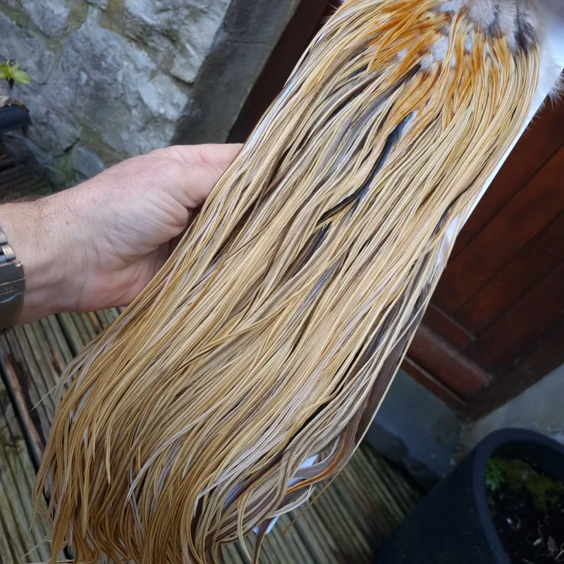 Whiting Heritage Hackles Rooster Saddle in Mixed Colours U Natural Golden Straw/ Natural Golden Straw Badger/Champagne Badger Approx.Tying Size 10/12/14-10