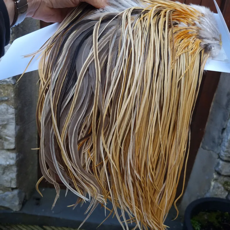 Whiting Heritage Hackles Rooster Saddle in Mixed Colours U Natural Golden Straw/ Natural Golden Straw Badger/Champagne Badger Approx.Tying Size 10/12/14-8