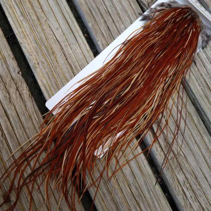 Whiting Heritage Hackles Rooster Saddle in Mixed Colours U Light/Medium/Dark Red Game Approx.Tying Size 12/14/16/18-3