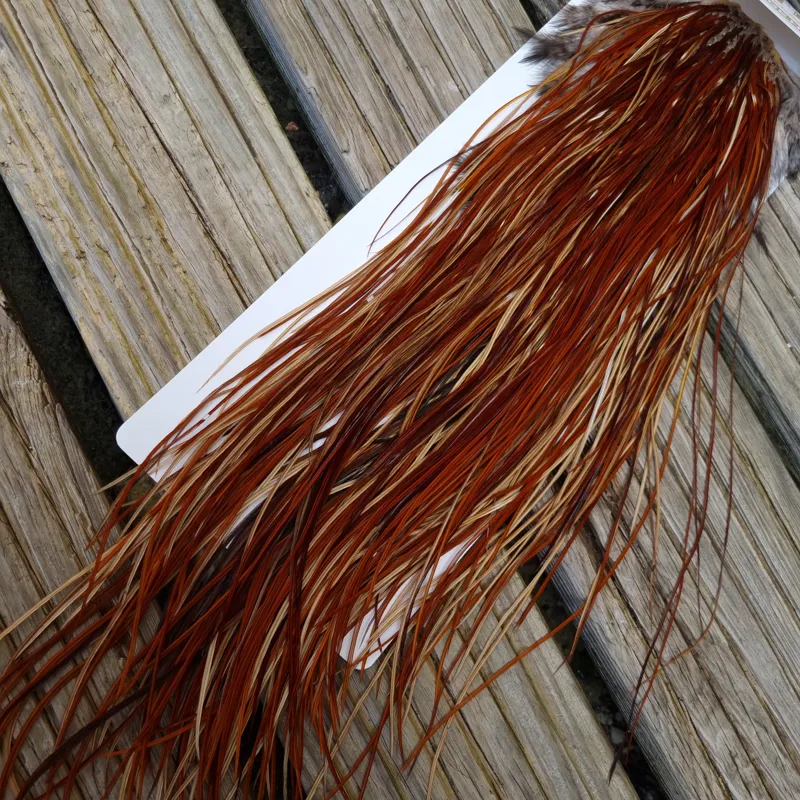 Whiting Heritage Hackles Rooster Saddle in Mixed Colours U Light/Medium/Dark Red Game Approx.Tying Size 12/14/16/18-5