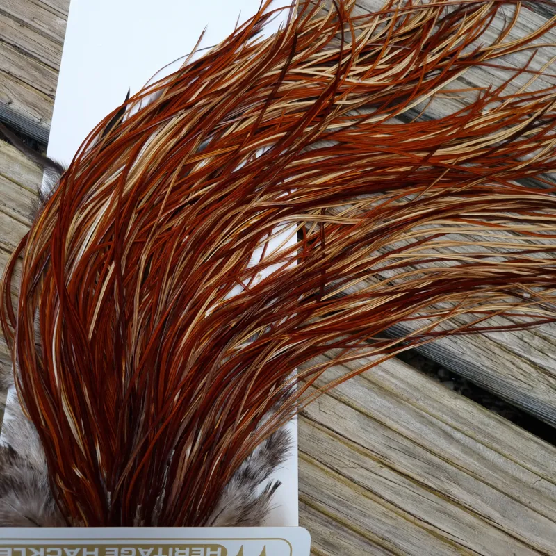 Whiting Heritage Hackles Rooster Saddle in Mixed Colours U Light/Medium/Dark Red Game Approx.Tying Size 12/14/16/18-6