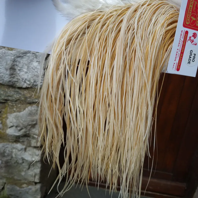 Whiting Pro-Grade Midge Rooster Saddle in Unique Variant B Ivory/ Ghost Barred/Natural Golden Straw Approx tying size 14 16 18 20 with a few going smaller-3