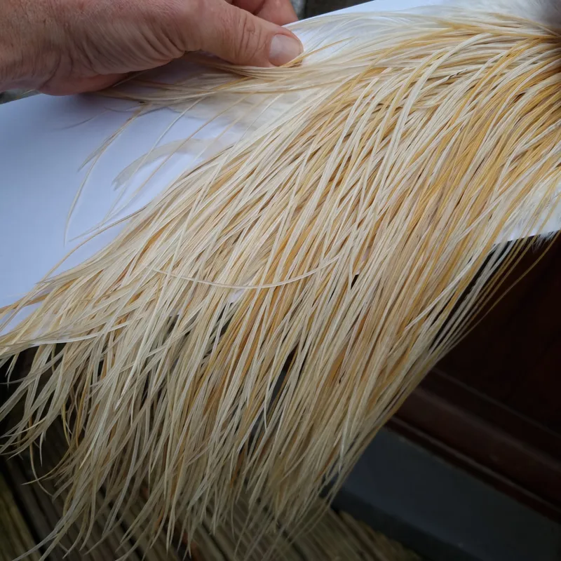 Whiting Pro-Grade Midge Rooster Saddle in Unique Variant B Ivory/ Ghost Barred/Natural Golden Straw Approx tying size 14 16 18 20 with a few going smaller-6