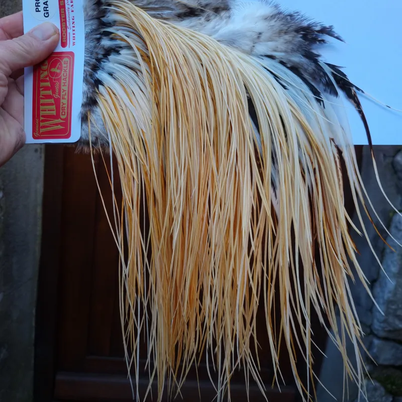 Whiting Pro-Grade Midge Rooster Saddle in Unique Variant A Honey to Light Ginger Approx Tying Sizes 14 16 18-1