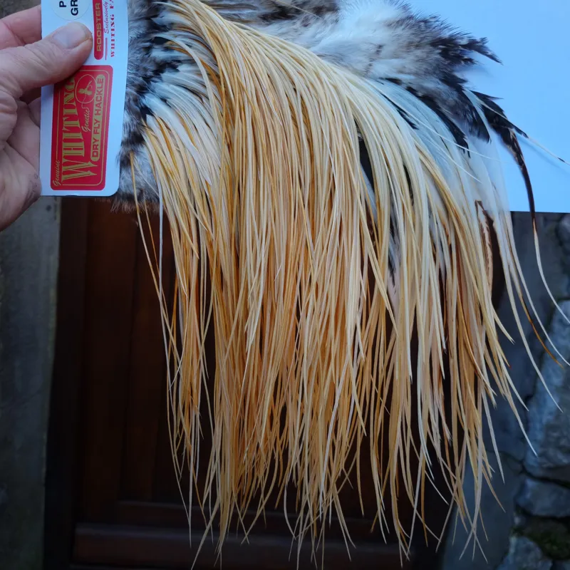 Whiting Pro-Grade Midge Rooster Saddle in Unique Variant A Honey to Light Ginger Approx Tying Sizes 14 16 18-3