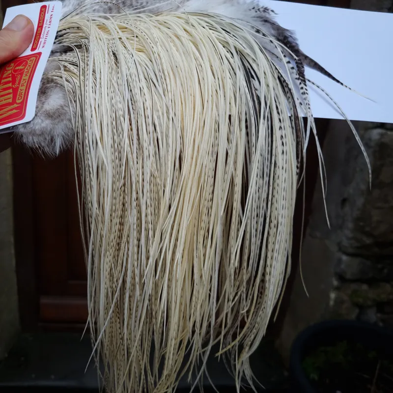 Whiting Pro-Grade Midge Rooster Saddle in Unique Variant A Pure White/Silver Badger/ Salt and Pepper Approx Tying Sizes 14 16 18 20 some going smaller-2