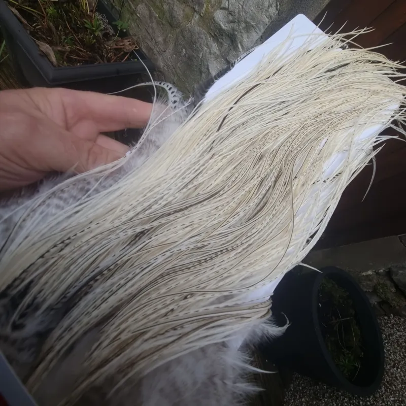 Whiting Pro-Grade Midge Rooster Saddle in Unique Variant A Pure White/Silver Badger/ Salt and Pepper Approx Tying Sizes 14 16 18 20 some going smaller-7