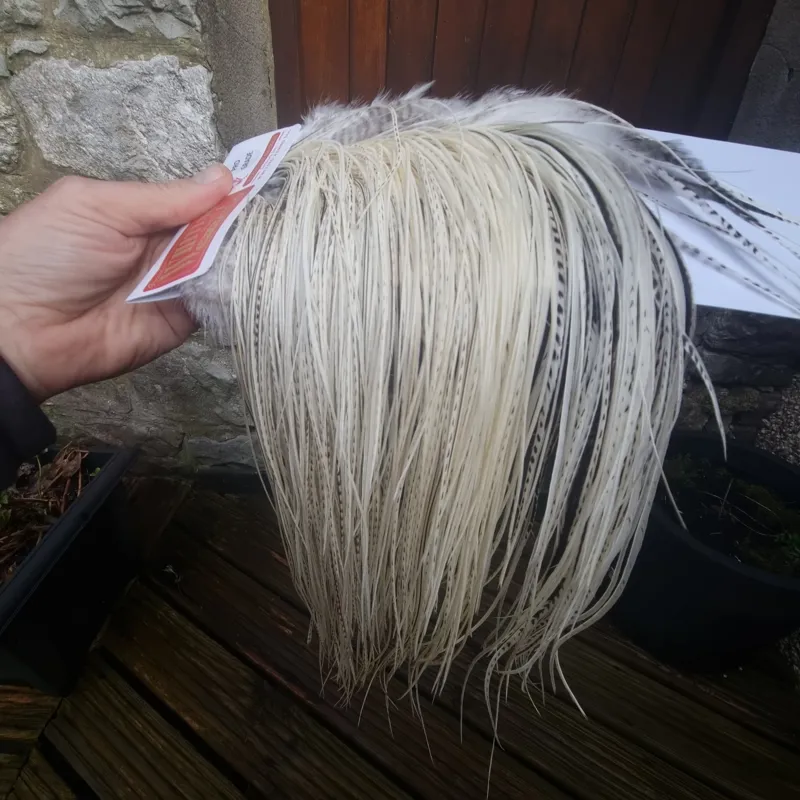 Whiting Pro-Grade Midge Rooster Saddle in Unique Variant A Pure White/Silver Badger/ Salt and Pepper Approx Tying Sizes 14 16 18 20 some going smaller-4