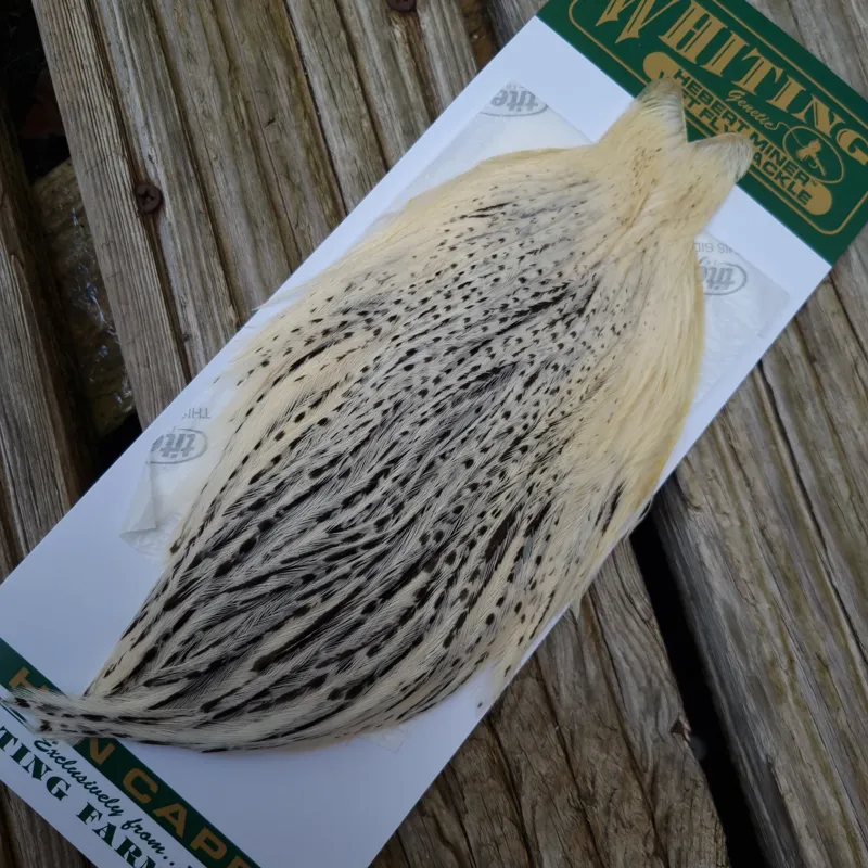 Whiting Hebert Miner Hen Cape in Unique Variant B Salt and Pepper
