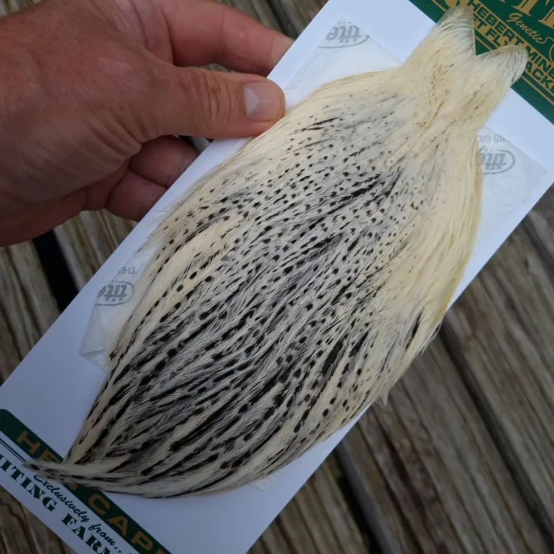 Whiting Hebert Miner Hen Cape in Unique Variant B Salt and Pepper-2