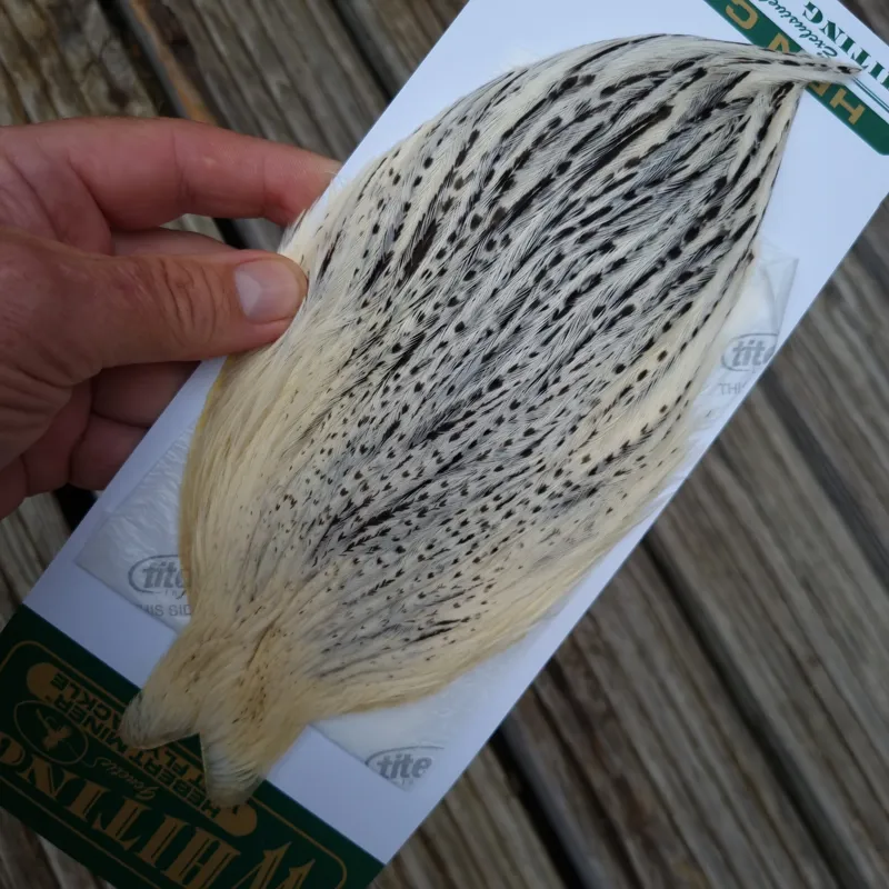 Whiting Hebert Miner Hen Cape in Unique Variant B Salt and Pepper-3