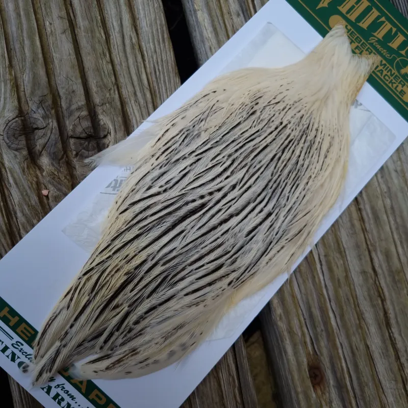 Whiting Hebert Miner Hen Cape in Unique Variant C Silver Badger Variant