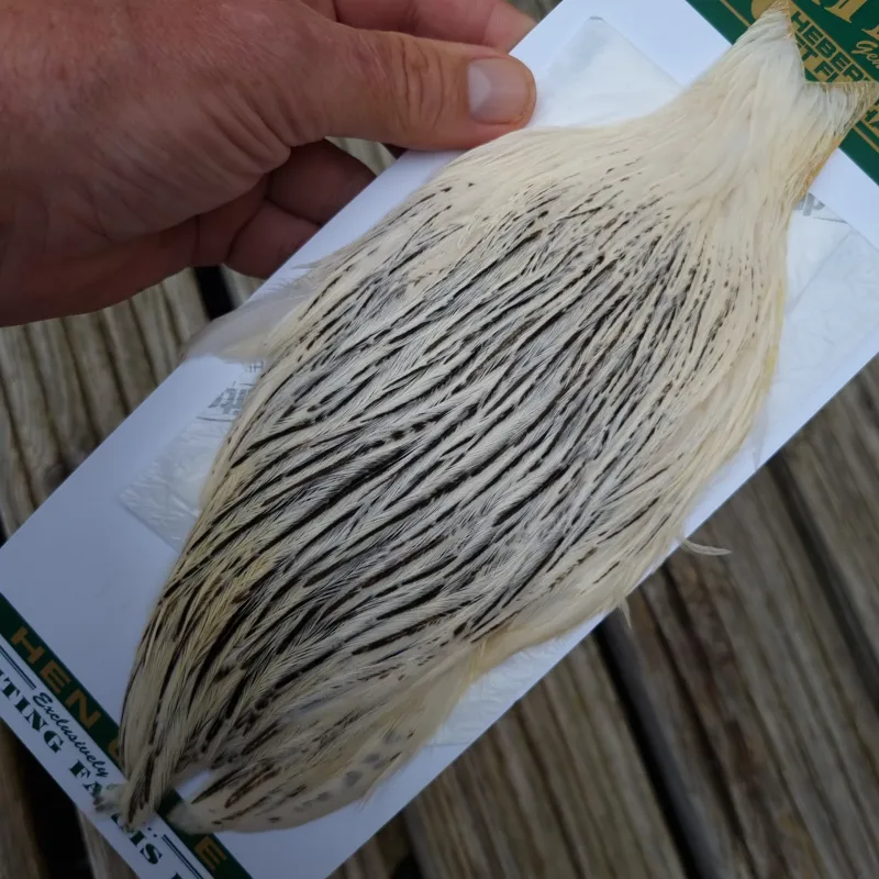 Whiting Hebert Miner Hen Cape in Unique Variant C Silver Badger Variant-2