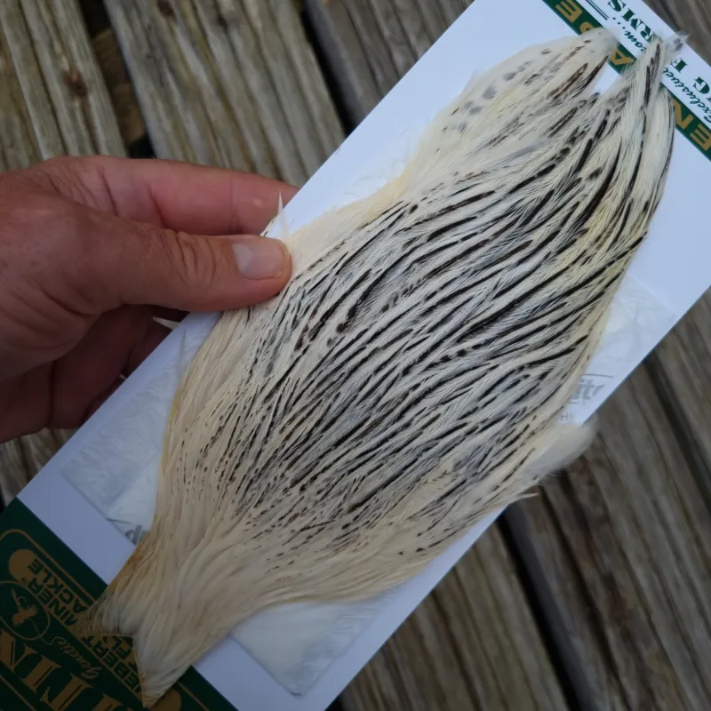 Whiting Hebert Miner Hen Cape in Unique Variant C Silver Badger Variant-3