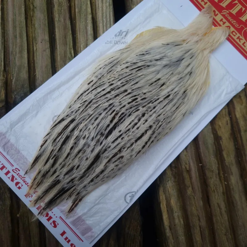 Whiting Hen Cape in Unique Variant D Splashed with Salt and Pepper-2