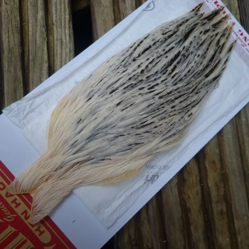 Whiting Hen Cape in Unique Variant D Splashed with Salt and Pepper-1