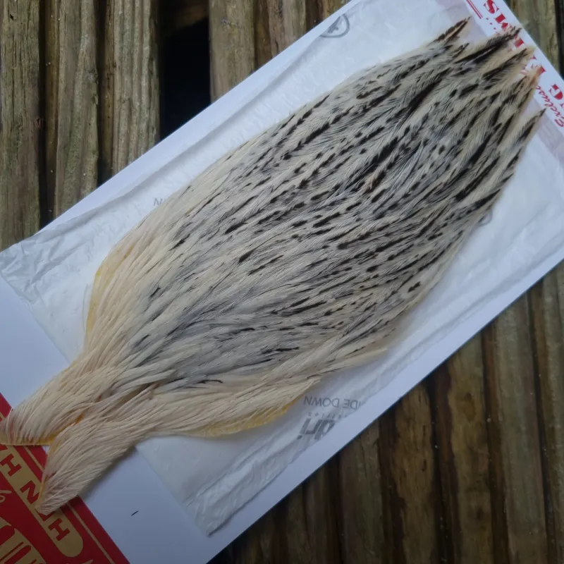 Whiting Hen Cape in Unique Variant D Splashed with Salt and Pepper-3