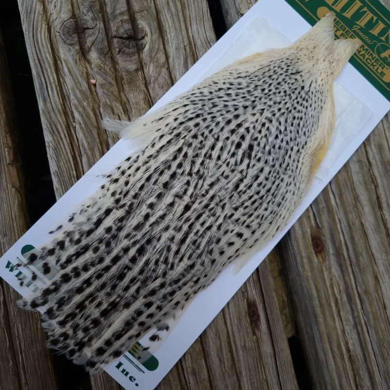 Whiting Hebert Miner Hen Cape in Unique Variant D Salt and Pepper 