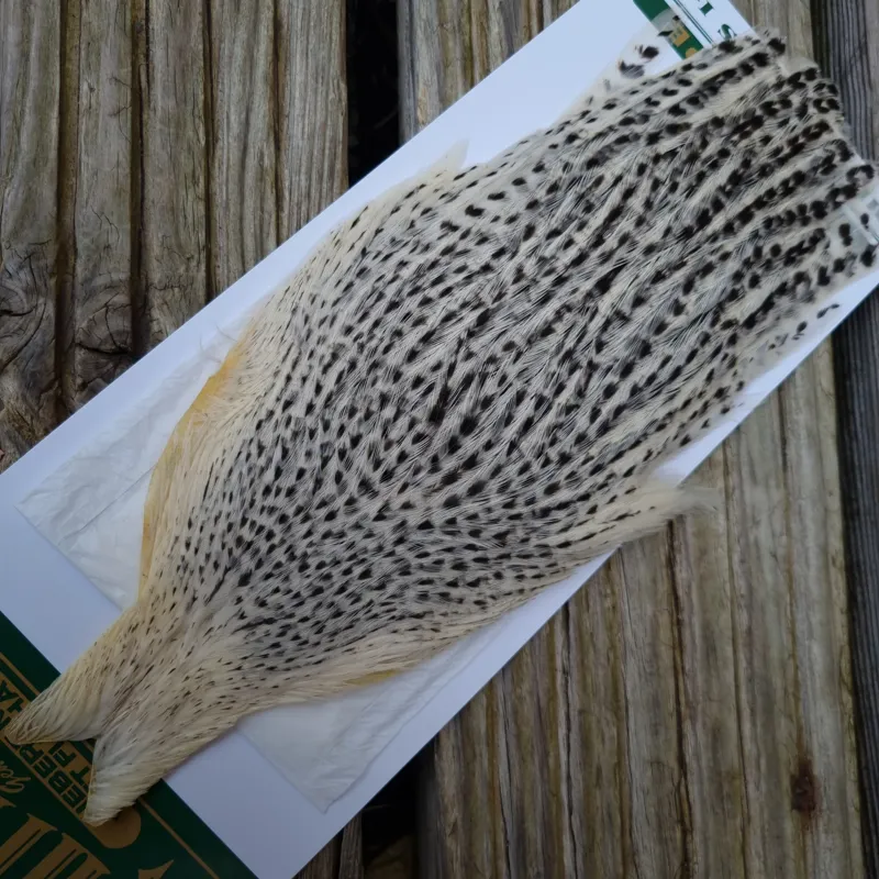 Whiting Hebert Miner Hen Cape in Unique Variant D Salt and Pepper -1