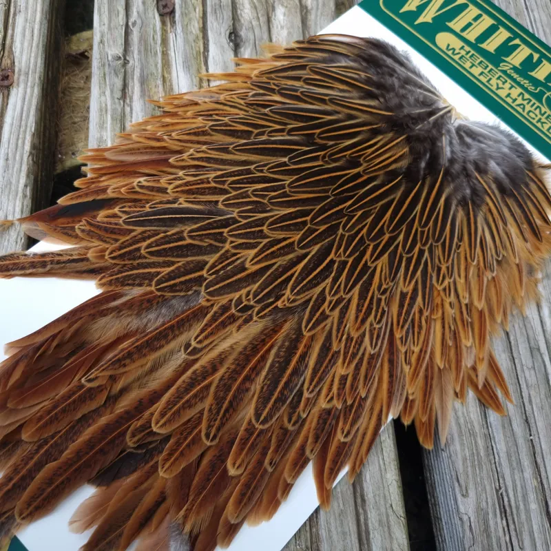 Whiting Hebert Miner Hen Saddle in Wild Type Brown-3