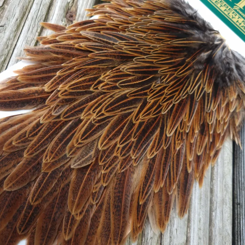 Whiting Hebert Miner Hen Saddle in Wild Type Brown-5