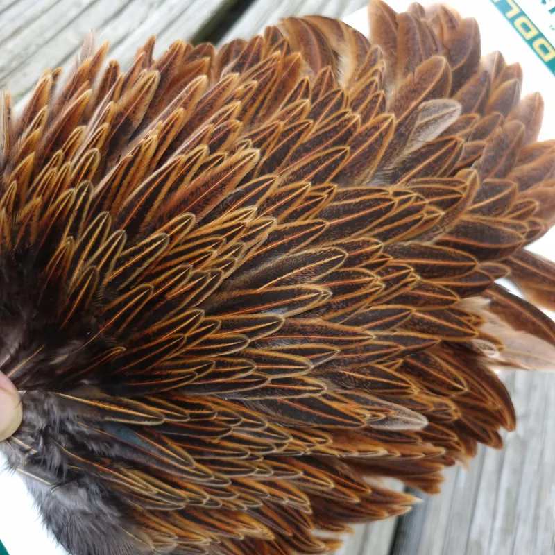 Whiting Hebert Miner Hen Saddle in Wild Type Brown-6