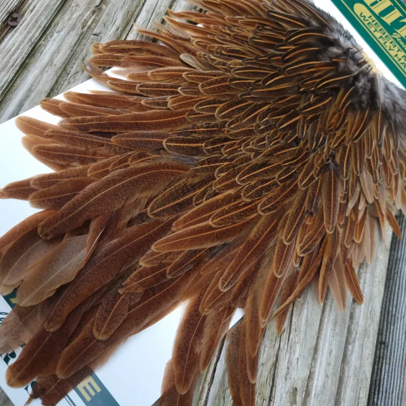 Whiting Hebert Miner Hen Saddle in Wild Type Brown-7