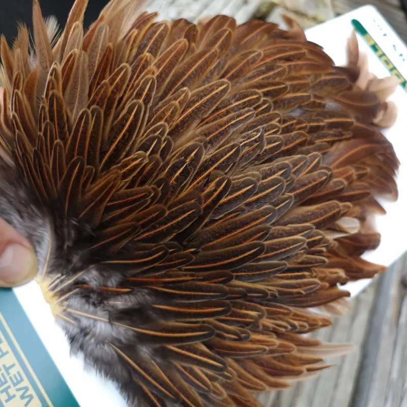 Whiting Hebert Miner Hen Saddle in Wild Type Brown-9