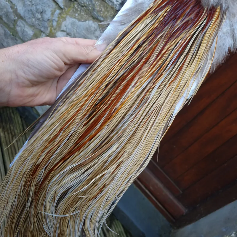 Whiting Heritage Hackles Rooster Saddle in Mixed Colours W Champagne Badger/Speckled Champagne Badger/ Badger Hackles/Rusty Badger/Rusty Hackles Approx Tying Size 12/14/16-7