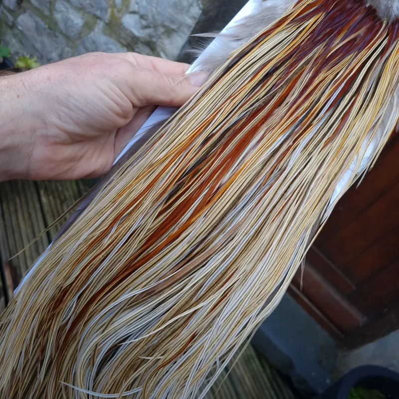 Whiting Heritage Hackles Rooster Saddle in Mixed Colours W Champagne Badger/Speckled Champagne Badger/ Badger Hackles/Rusty Badger/Rusty Hackles Approx Tying Size 12/14/16-4