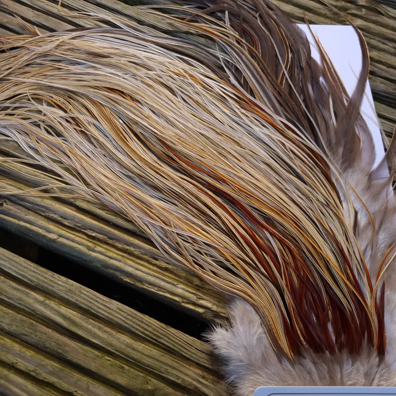 Whiting Heritage Hackles Rooster Saddle in Mixed Colours W Champagne Badger/Speckled Champagne Badger/ Badger Hackles/Rusty Badger/Rusty Hackles Approx Tying Size 12/14/16-8