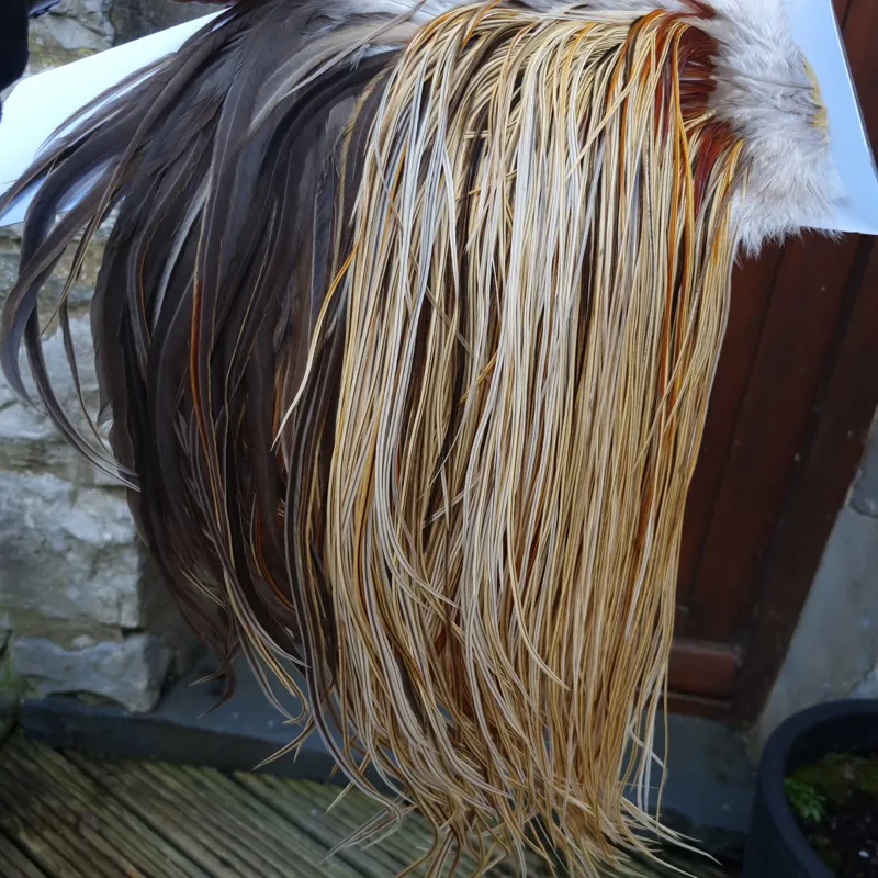 Whiting Heritage Hackles Rooster Saddle in Mixed Colours W Champagne Badger/Speckled Champagne Badger/ Badger Hackles/Rusty Badger/Rusty Hackles Approx Tying Size 12/14/16-1