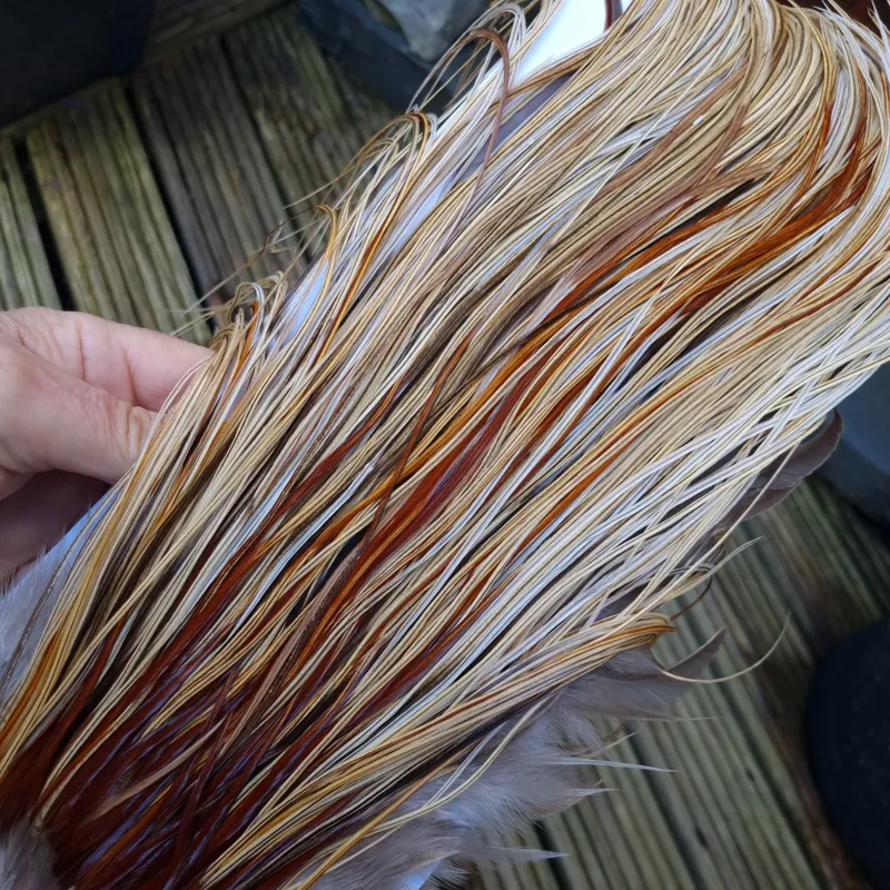 Whiting Heritage Hackles Rooster Saddle in Mixed Colours W Champagne Badger/Speckled Champagne Badger/ Badger Hackles/Rusty Badger/Rusty Hackles Approx Tying Size 12/14/16-2