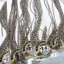 Whiting 100 Saddle Hackle Pack in Grizzly