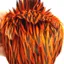 Whiting American Black Laced Hen Cape in Orange