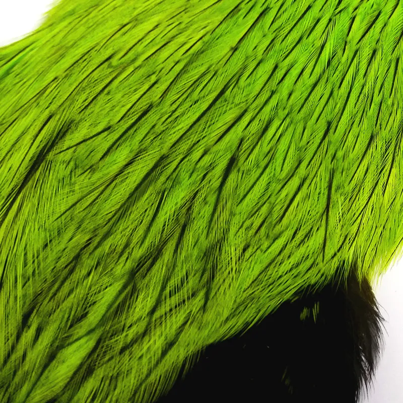 The Lakeland Brahma Rooster Cape in Silver Badger Dyed Fl.Green Chartreuse  from Whiting Farms -5
