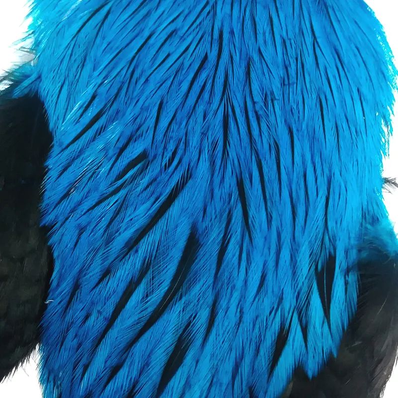 The Lakeland Brahma Rooster Cape in Silver Badger Dyed Kingfisher Blue  from Whiting Farms-1