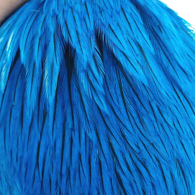 The Lakeland Brahma Rooster Cape in Silver Badger Dyed Kingfisher Blue  from Whiting Farms-2