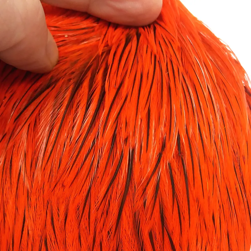 The Lakeland Brahma Rooster Cape in Silver Badger Dyed Orange  from Whiting Farms-1