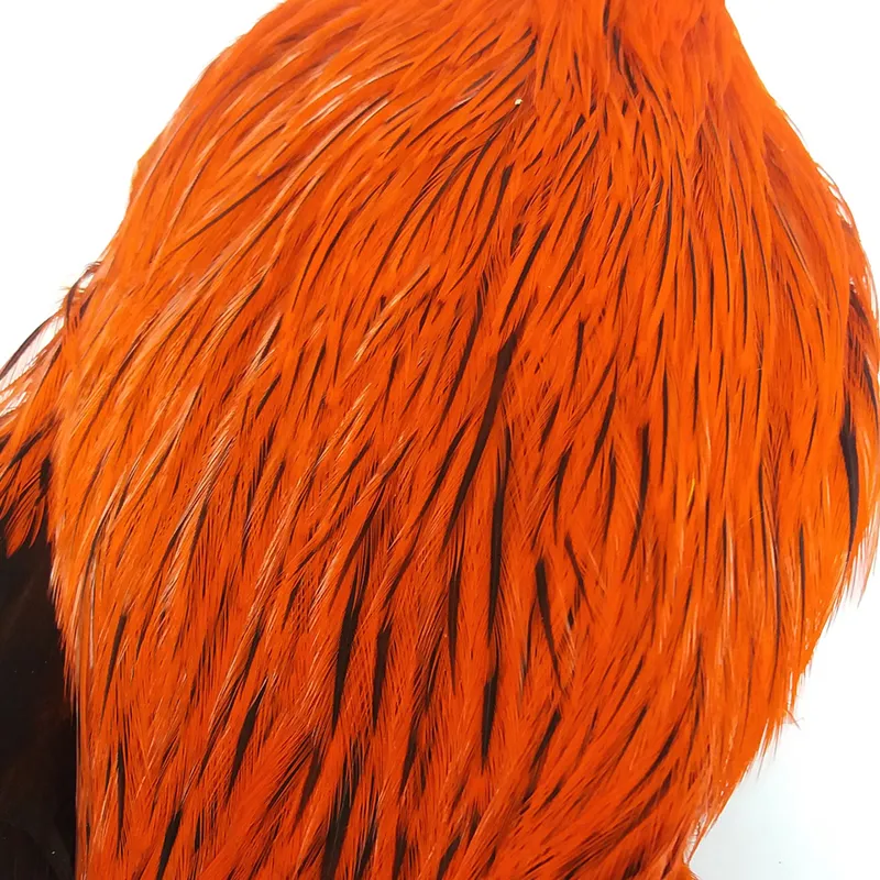 The Lakeland Brahma Rooster Cape in Silver Badger Dyed Orange  from Whiting Farms-2