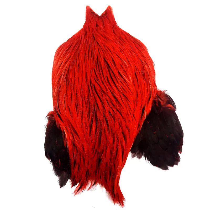 The Lakeland Brahma Rooster Cape in Silver Badger Dyed Red  from Whiting Farms