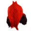 The Lakeland Brahma Rooster Cape in Silver Badger Dyed Red  from Whiting Farms